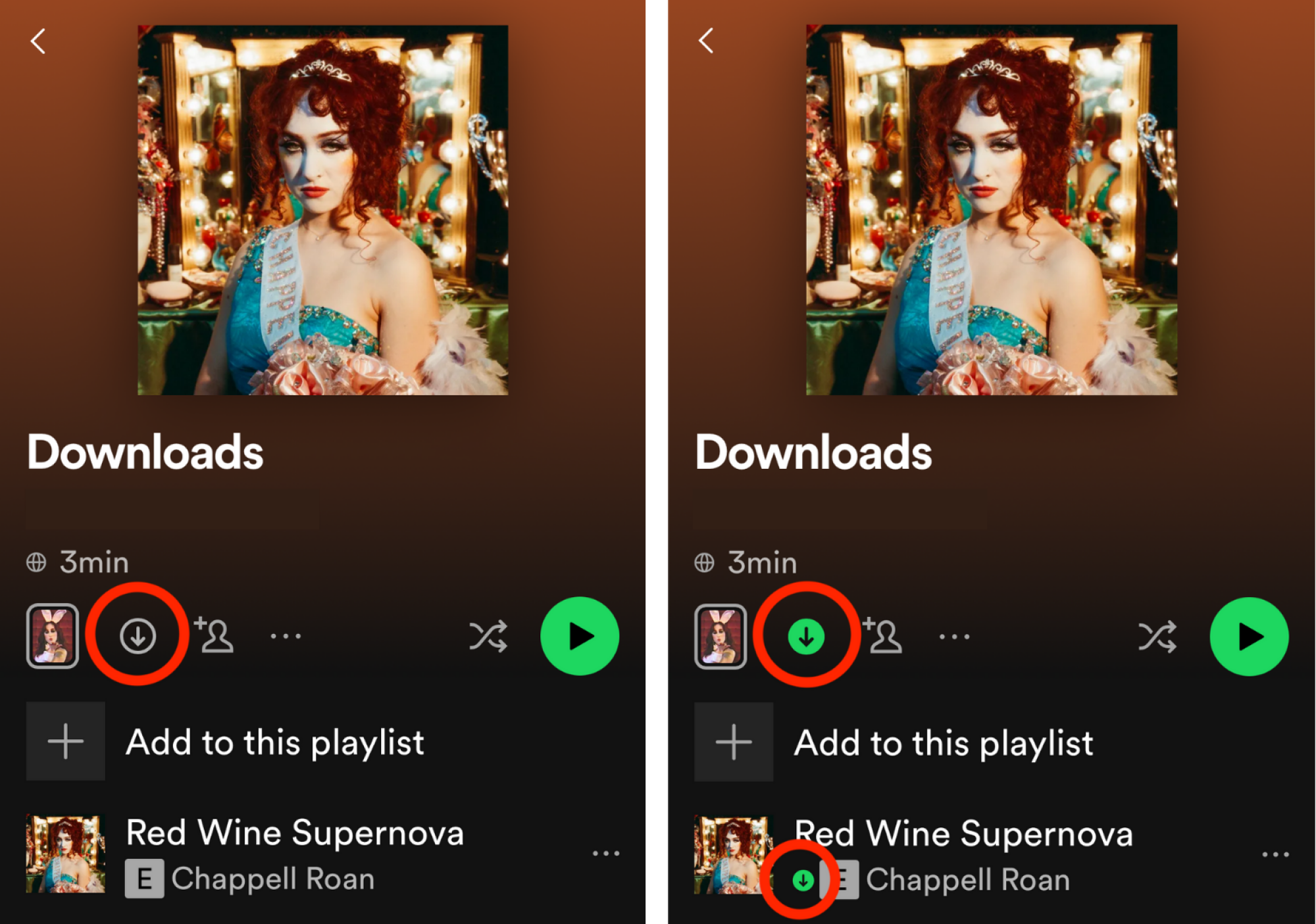 Screenshots of the download process.