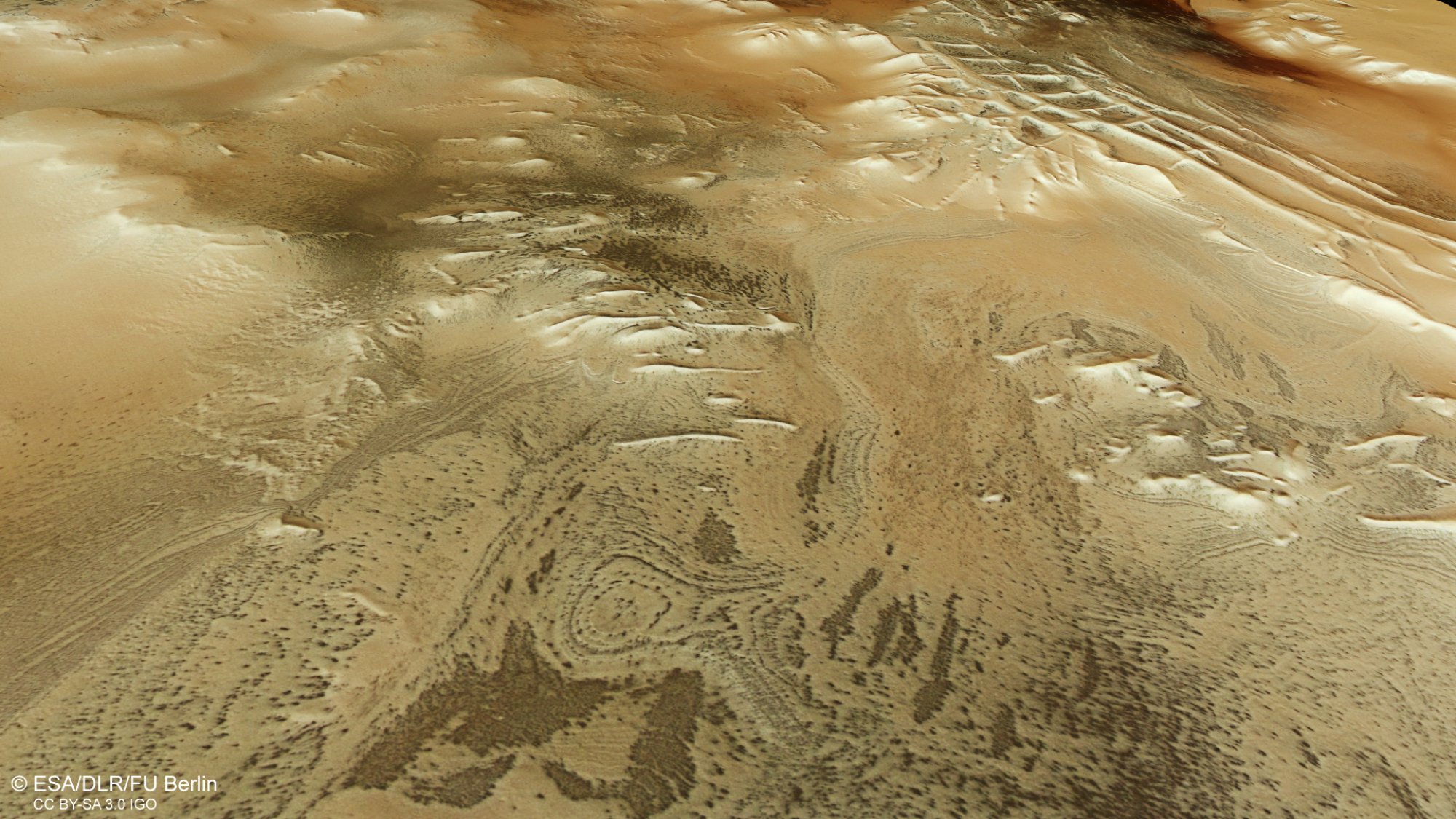 The grid-like ridges of the Angustus Labyrinthus region on Mars.