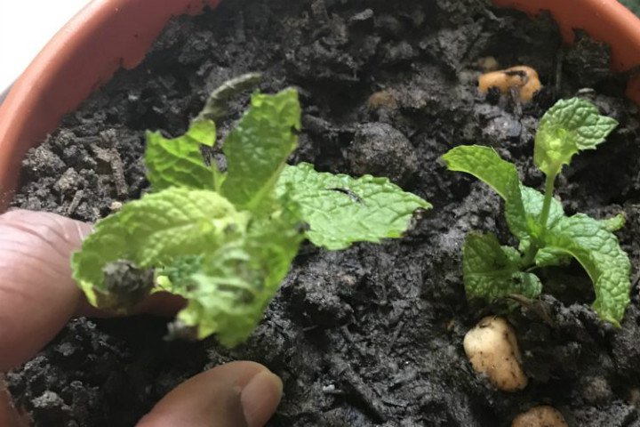 homecookingafterretirement