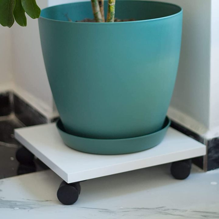 damacana-altligi-saksi-standi