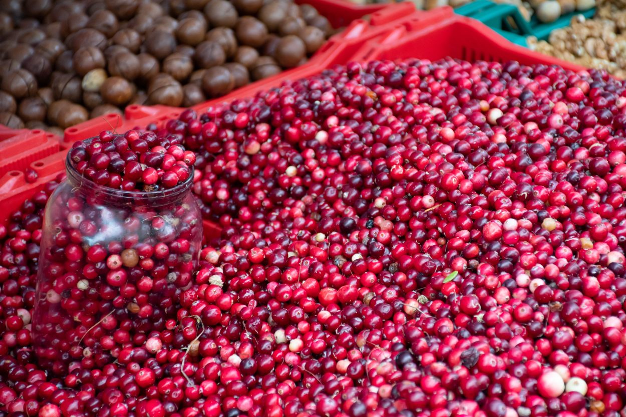 kekreyemis-tozu-zayiflatir-mi