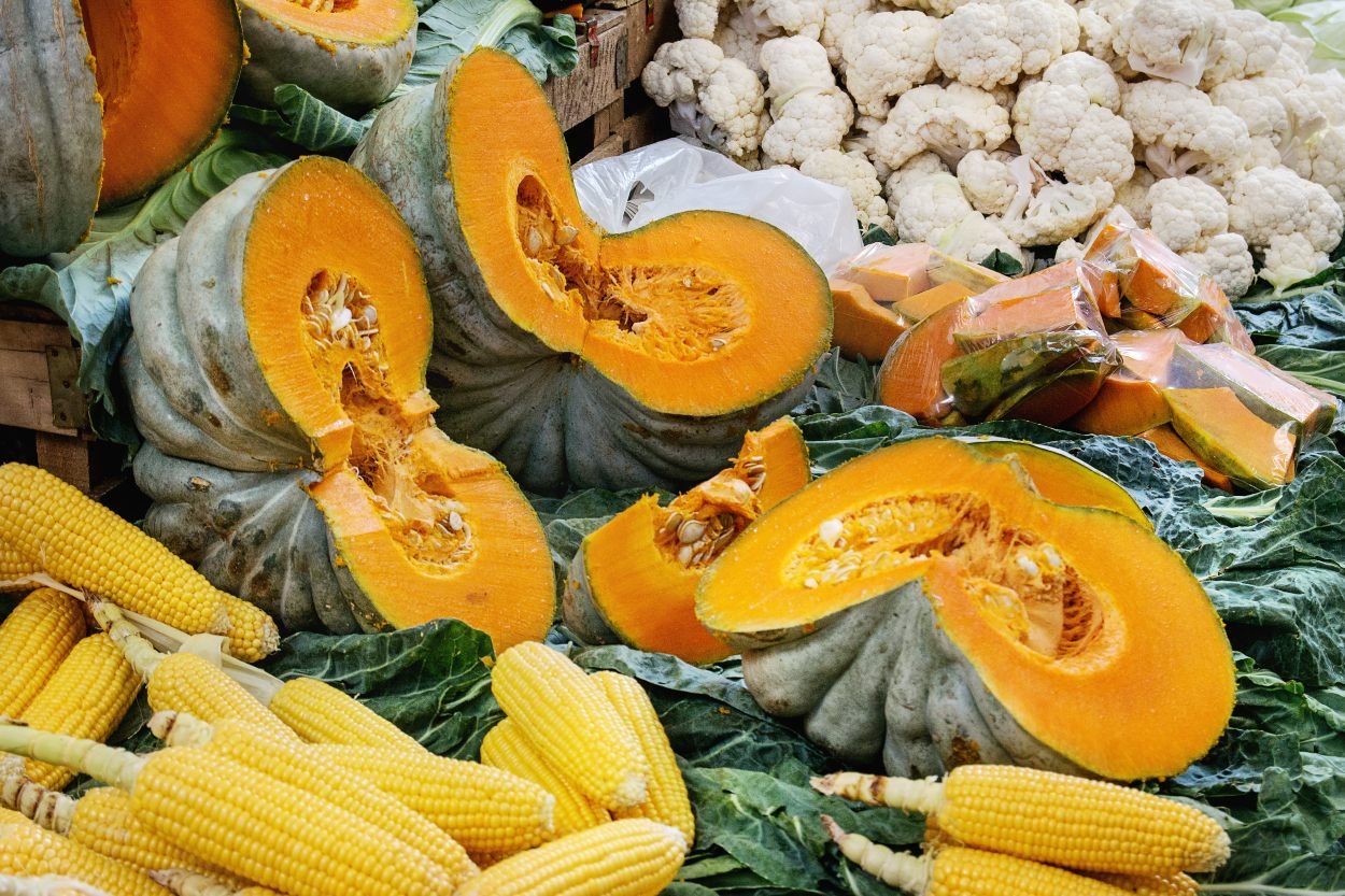 bal-kabagi-nasil-secilir-2