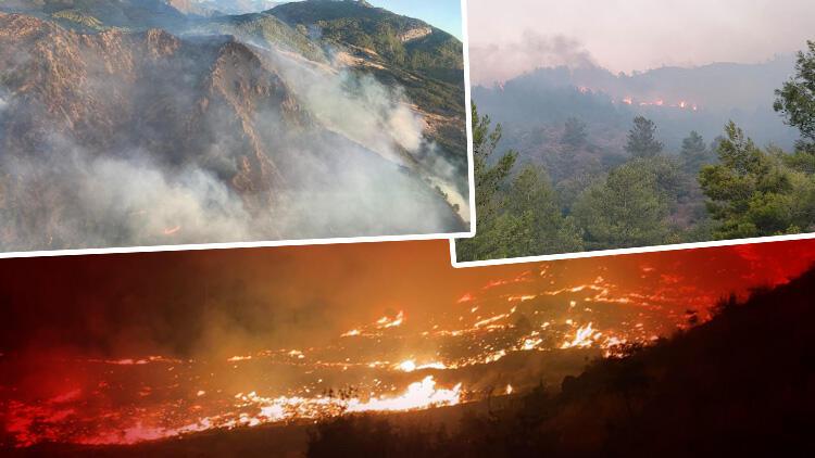 Son dakika… Muğla’nın Dalaman ilçesinde orman yangını! Havadan ve karadan müdahale ediliyor