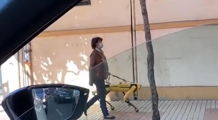 Robot köpeğine tasma takan kadın sosyal medyada viral oldu – Teknoloji Haberleri