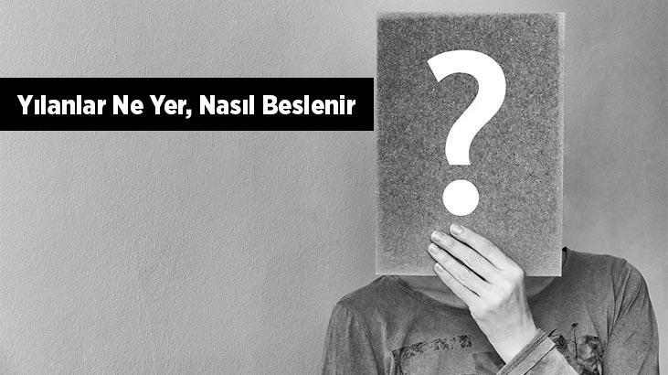 Yılanlar Ne Yer, Nasıl Beslenir? Yılanların En Sevdiği Besinler Nelerdir?