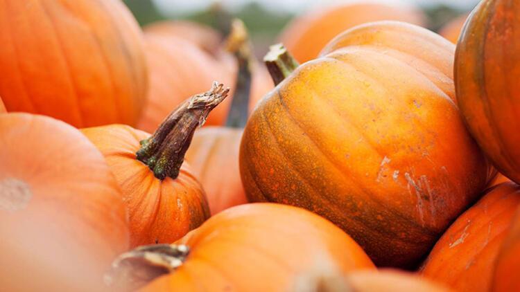 Sonbaharda hangi besinleri tüketmeliyiz? – Sağlık Haberleri