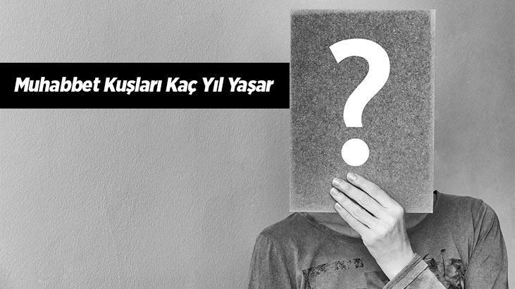 Muhabbet Kuşları Kaç Yıl Yaşar? Doğada Ortalama Ömrü Nedir?