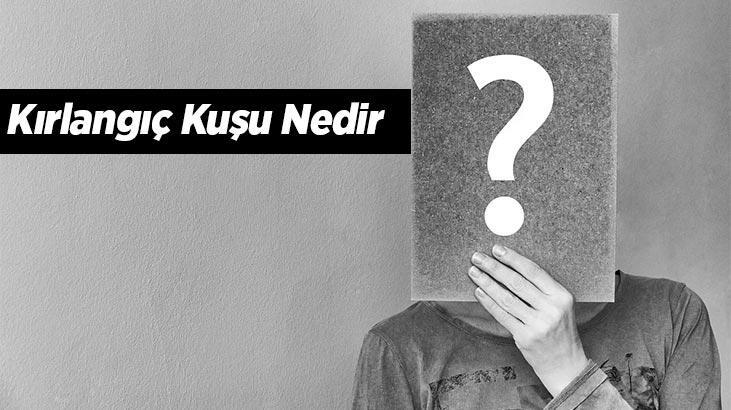 Kırlangıç Kuşu Nedir, Özellikleri Nelerdir? Ne Yer, Nerede Yaşar?