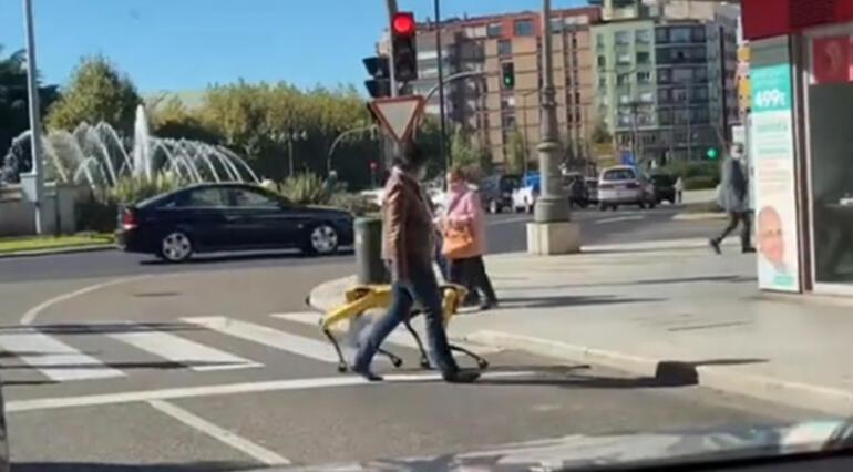 Robot köpeğine tasma takan kadın sosyal medyada viral oldu