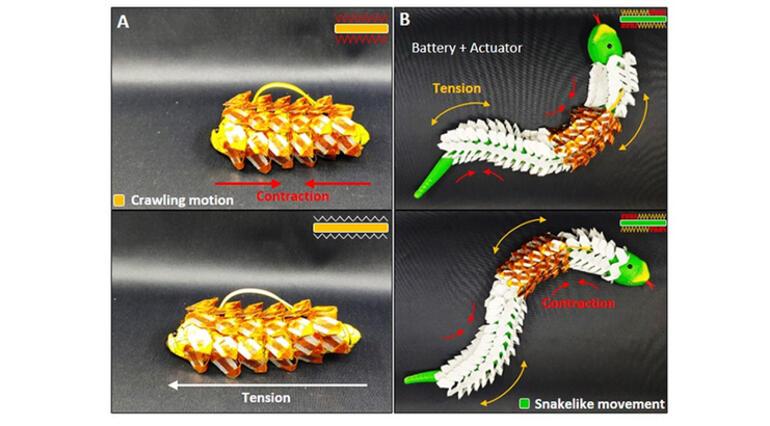 Yılanın pullarından ilham alan esnek pil oluşturuldu