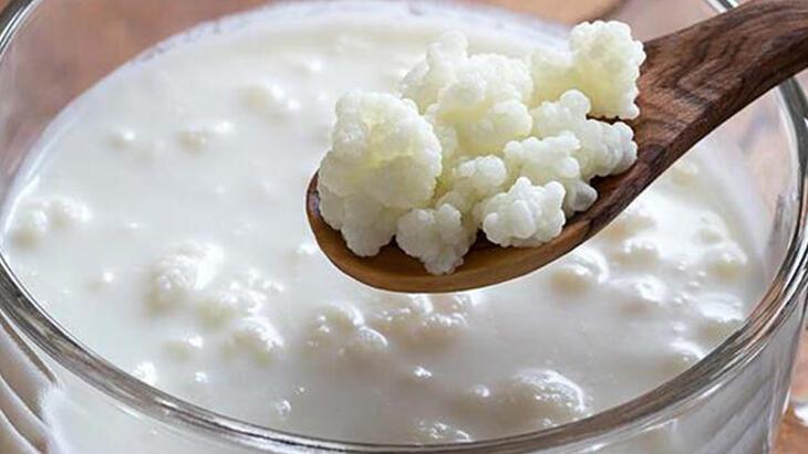 Kefirin faydaları nelerdir? Kefir nedir, nasıl yapılır?