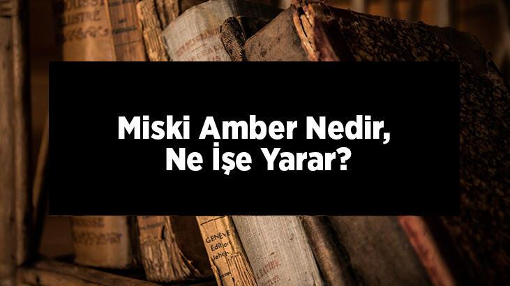 Miski Amber Nedir, Ne İşe Yarar? Miski Amber Nasıl Kokar?