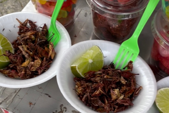 mexico-city-lezzetleri-2