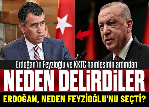 Erdoğan neden Metin Feyzioğlu’nu seçti?