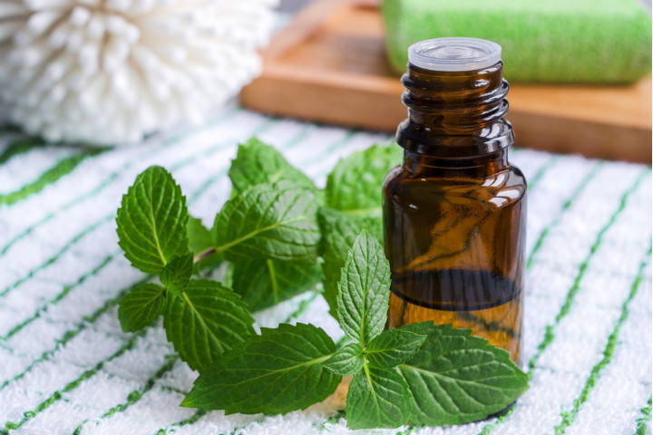 nane-yagi-faydalari-15