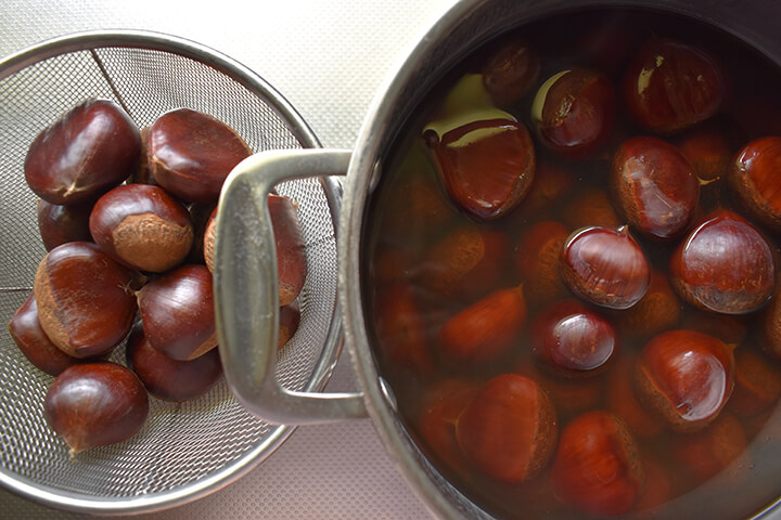 kestane-haslama-shutter-2022