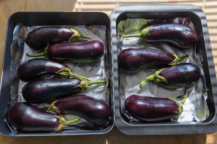 firinda-patlican-nasil-kozlenir-shutter-2