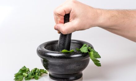 Rüyada Ezmek Görmek Ne Demek? İstemeden Böcekleri Ezdiğini Görmek