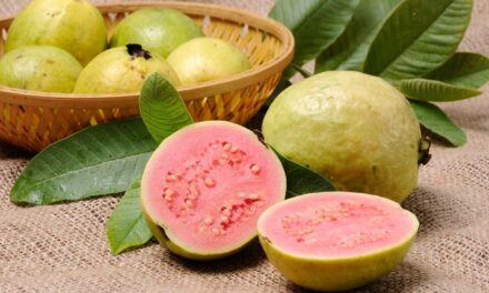 Bir süper meyve: ‘Guava’