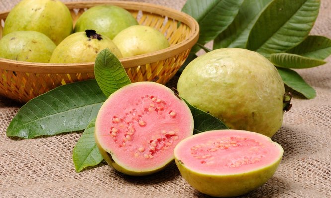 Bir süper meyve: ‘Guava’