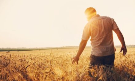 Tarımsal üretimde yeni dönem ne getiriyor?