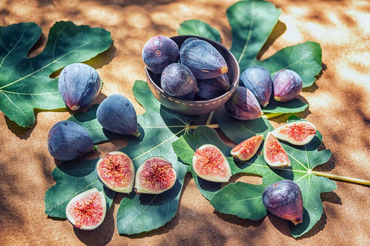 incir-yapraginin-faydalari-shutter-3