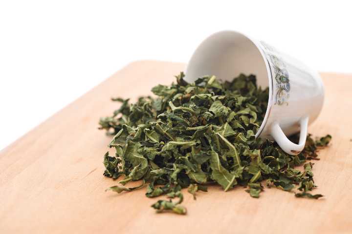 incir-yapraginin-faydalari-shutter-9