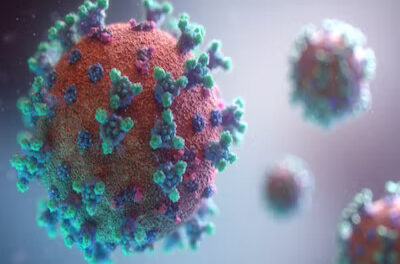 Bilim İnsanları ‘Evrensel’ Grip Aşısına Yaklaşıyor