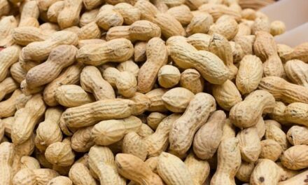 Rüyada Fıstık Görmek Ne Demek? Kısaca Ne Anlama Gelir?