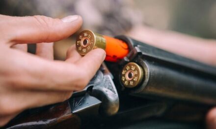 Rüyada Fişek Görmek Ne Demek? Kısaca Ne Anlama Gelir?