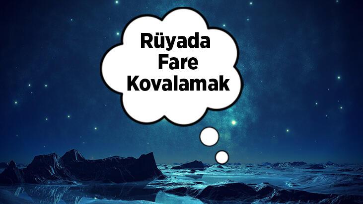 Rüyada Fare Kovalamak Ne Demek? Evin İçinde Fareleri Kovaladığını Görmek