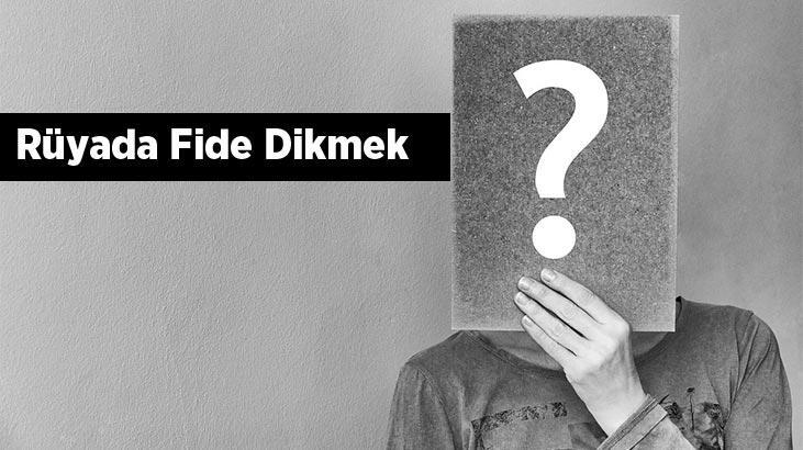 Rüyada Fide Dikmek Nedir? Bahçedeki Toprağa Fide Diktiğini Görmek