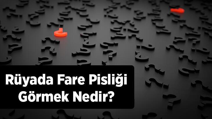 Rüyada Fare Pisliği Görmek Nedir? Evin İçerisinde Fare Pisliği Olduğunu Görmek