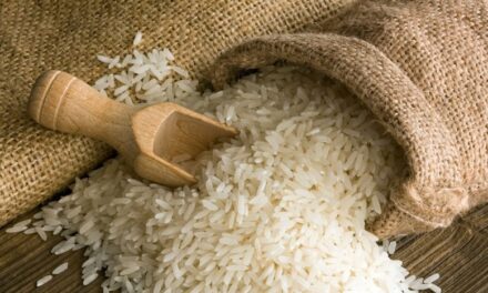 En Sağlıklı Pirinç Hangisi? Tane Tane Pilav Hangi Pirinçten Olur?