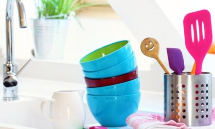 Plastiksiz Bir Hayat