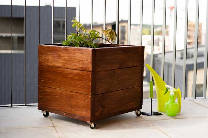 uzum-nasil-yetistirilir-shutter-2