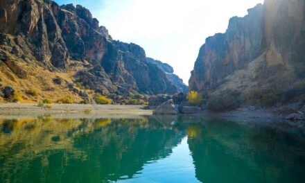 Malatya’da Av Turizmi ve Balıkçılık: Bilmeniz Gerekenler ve Sıkça Sorulan Sorular