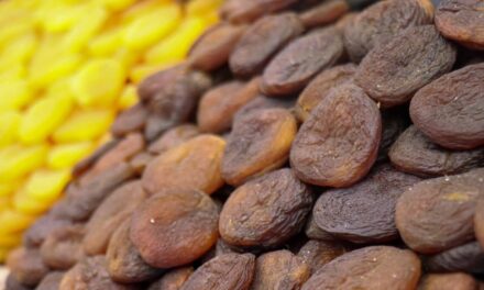 Malatya’dan Ne Alınır? Geleneksel El Sanatları ve Lezzetli Kuru Kayısılar