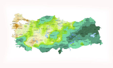 Malatya İklimi ve Bitki Örtüsü: Nasıl Bir İklim Hakim? Hangi Bitkiler Yetişir?