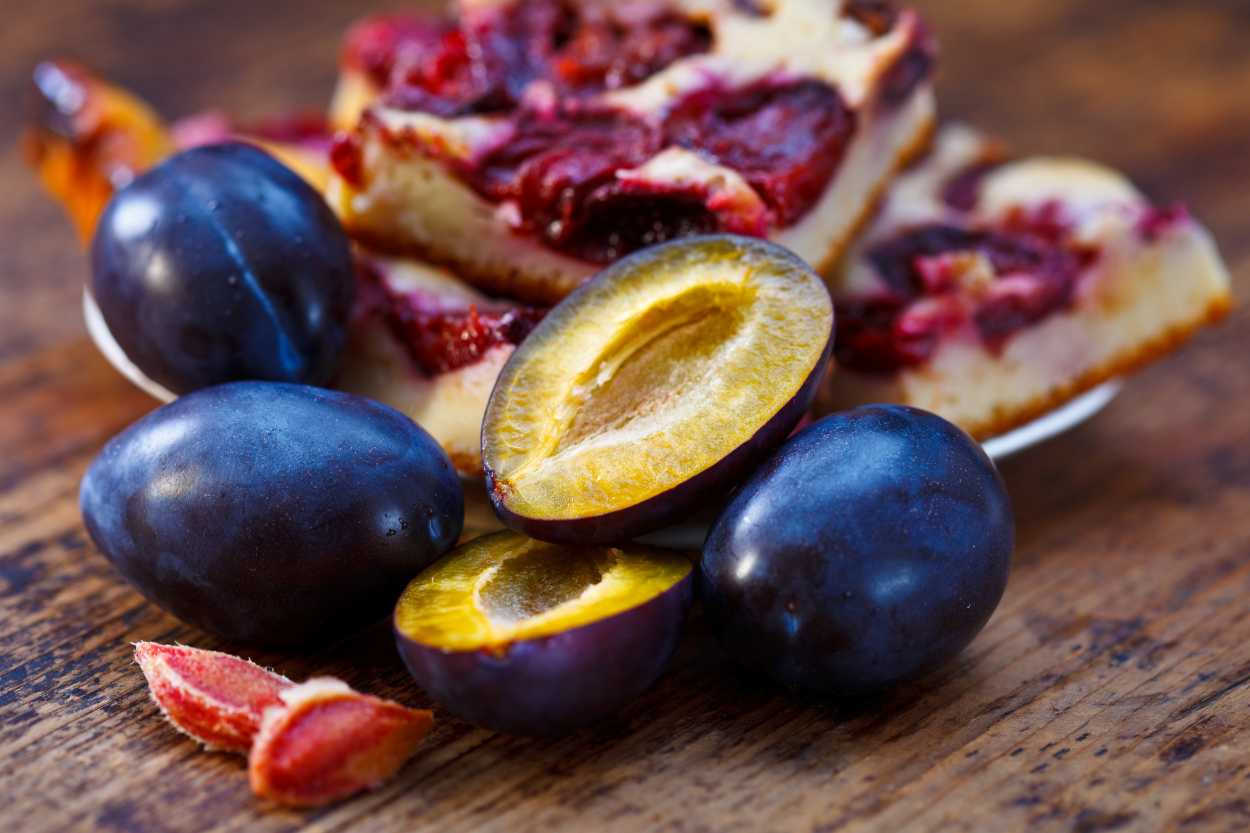 murdum-eriginin-faydalari-shutter-4