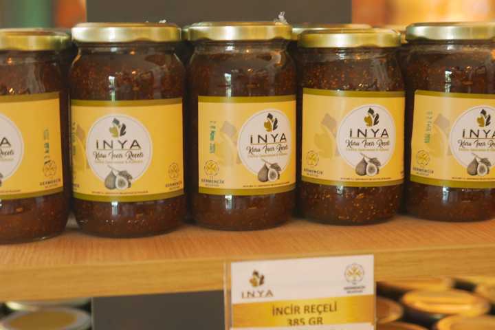 inya-germencik-aydin