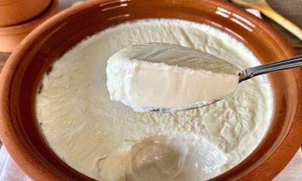 1 Kase Yoğurt Kaç Kalori? Besin Değerleri