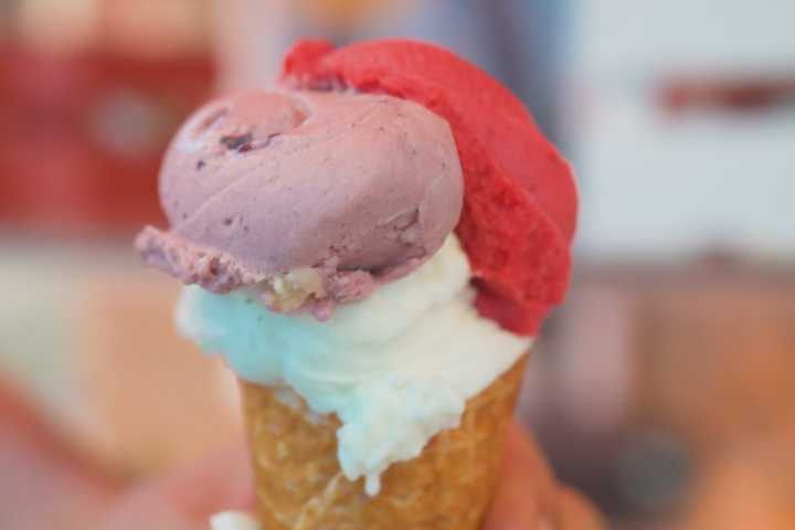 zeus-dondurma-kuzey-ege