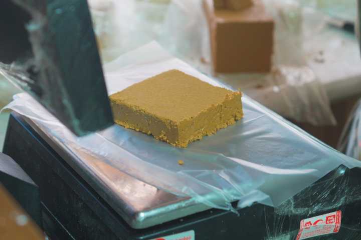 tiflipasa-helvacisi-kuzey-ege