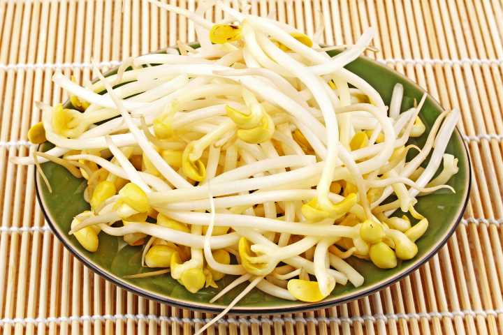 soya-filizi-nasil-yetistirilir-shutter-1