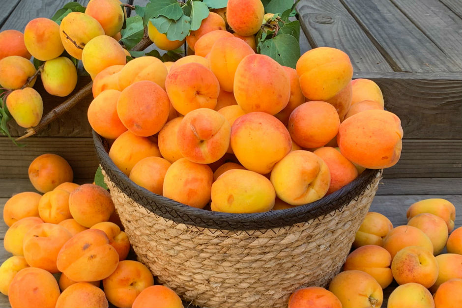 kayisi-recelinin-puf-noktalari