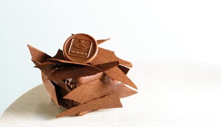 Puratos Kakao İzinde İle Çikolatanın Geleceğini Koruyor
