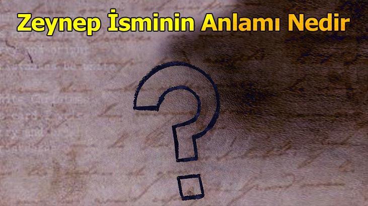 Zeynep İsminin Anlamı Nedir? Zeynep Ne Demek, Ne Anlamına Gelir?