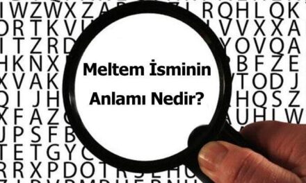 Meltem İsminin Anlamı Nedir? Meltem Ne Demek, Ne Anlama Gelir?