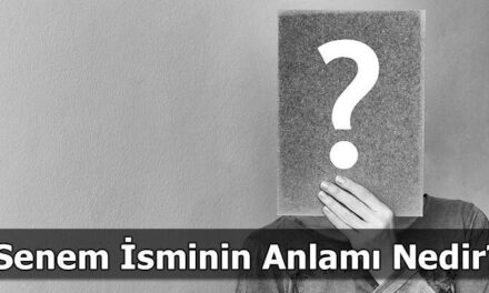 Senem İsminin Anlamı Nedir? Senem Ne Demek, Ne Anlama Gelir?